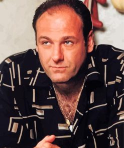 The Actor James Gandolfini paint by number