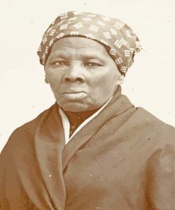 The American Harriet Tubman paint by number