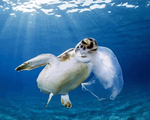 Turtle Holding Jellyfish With Its Mouth paint by number