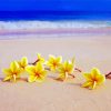 Yellow Flowers On Beach paint by number