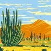 Arizona Poster Art Illustartion paint by number