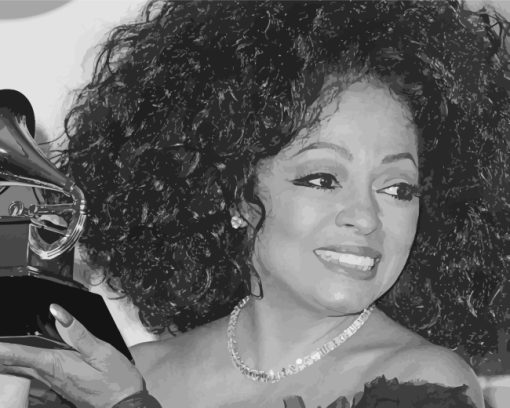 Black And White Diana Ross paint by number