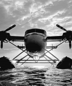 Black And White Twin Otter Aircraft paint by number