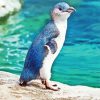 Blue Fairy Penguin paint by number