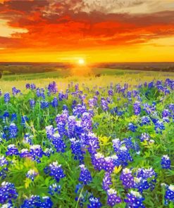 Blue Wildflowers Sunset paint by number