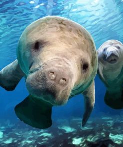 Cute Manatees Art paint by number