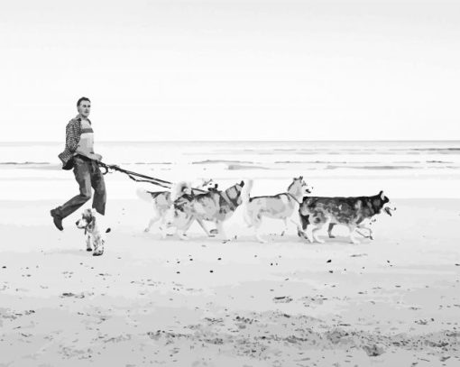 Dogs On Beach Black And White paint by number