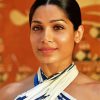 Freida Pinto Actress paint by number