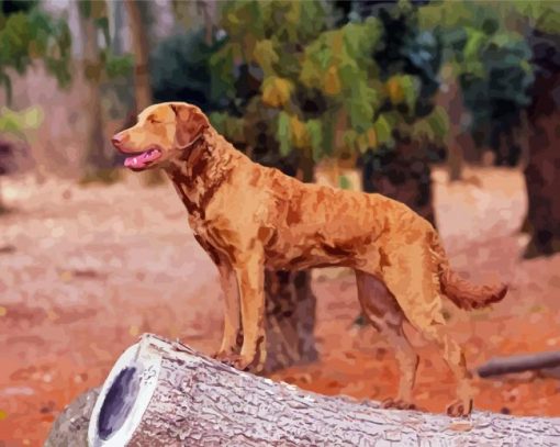 Golden Chesapeake Bay Retriever Dog paint by number