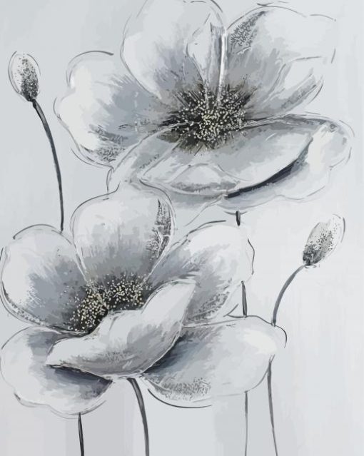 Grey And White Poppies paint by number