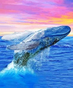 Humpback Whale At Sunset paint by number