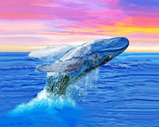 Humpback Whale At Sunset paint by number