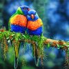 Lovely Lorikeets Birds paint by number