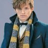 Newt Scamander Harry Potter Character paint by number