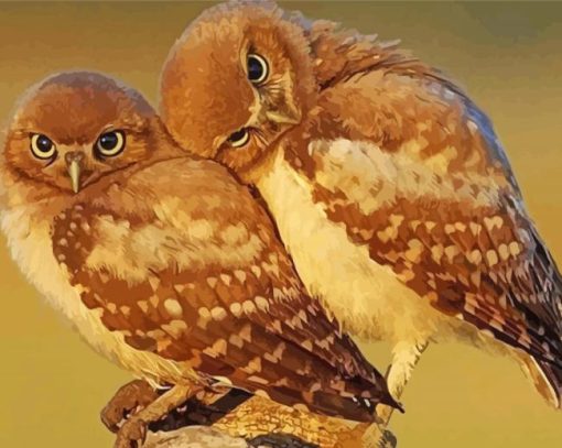 Owl Couple paint by number