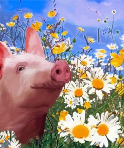 Pig In Daisy Field paint by number