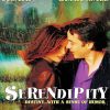 Serendipity Poster paint by number