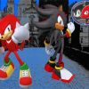 Shadow And Knuckles Characters paint by number