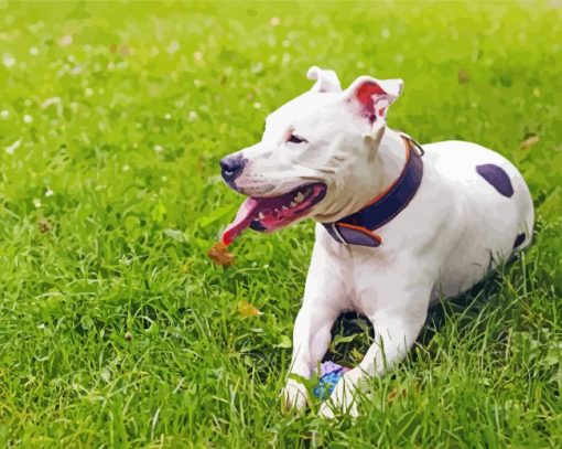 White Staffordshire Dog paint by number