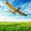 Yellow Crop Duster Plane paint by number