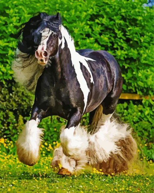 Black And White Cob Horse paint by number