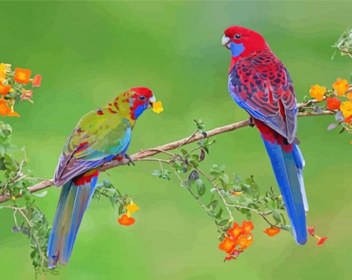 Cute Rainbow Birds On Tree Branch paint by number