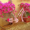 Garden And Bicycle With Flowers paint by number