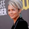 Halle Berry Actress paint by number