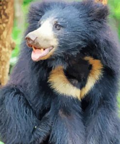 Happy Sloth Bear paint by number