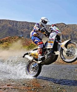 Honda Africa Twin paint by number