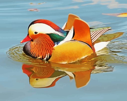 Mandarin Duck Swimming paint by number