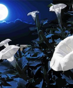 Moon Flower paint by number