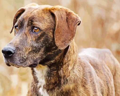 Plott Hound Dog paint by number