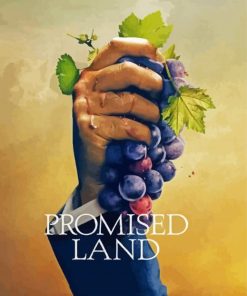 Promised Land Poster paint by number