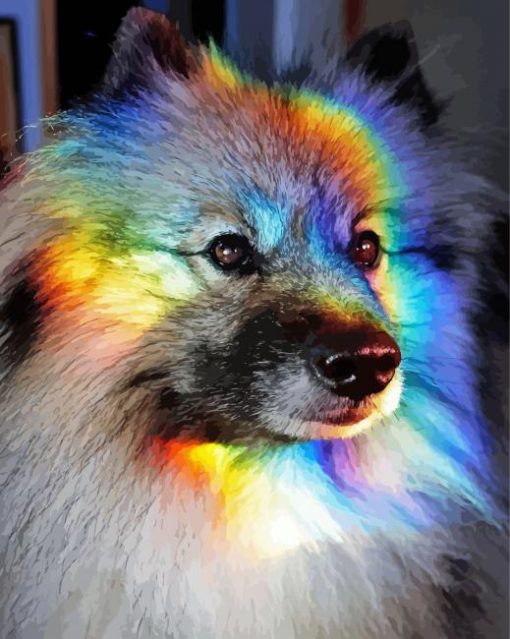 Rainbow Dog Animal paint by number