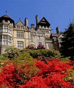 Red Flowers Cragside paint by number