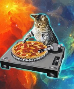 Cat Dj Galaxy paint by number