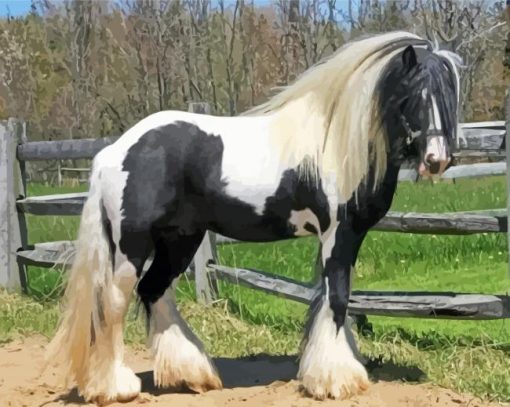 Gypsy Vanner Horse paint by number