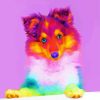 Rainbow Dog paint by number