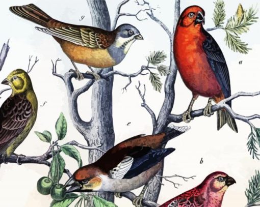 Vintage Birds On Tree paint by number