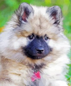 White keeshond Puppy paint by number