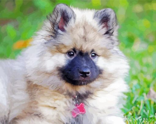 White keeshond Puppy paint by number