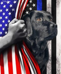 Aesthetic Black Lab With Flag paint by number