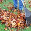 Cool Raking Leaves paint by number