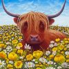 Highland Cow With Flowers paint by number