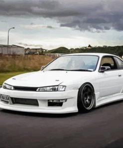 White S14 paint by number