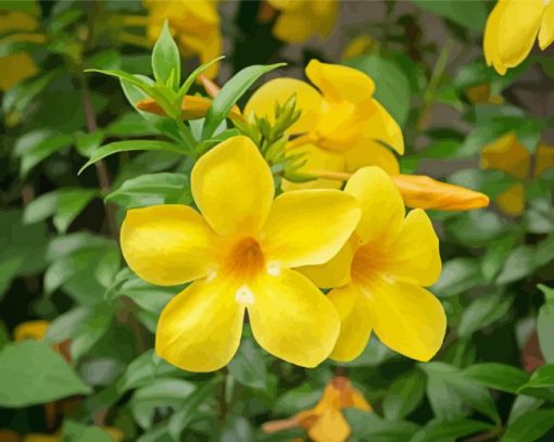 Yellow Rocktrumpet paint by number