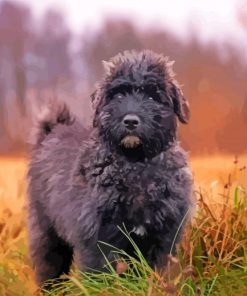 Aesthetic Bouvier Des Flandres paint by number