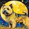 Norwich Terrier Art Paint By Number