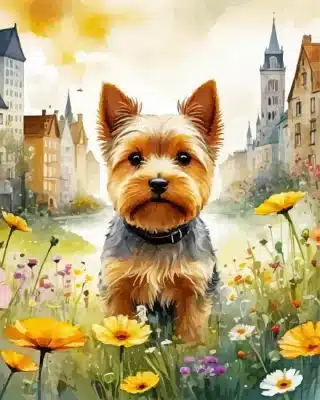 Norwich Terrier Pet Paint By Number